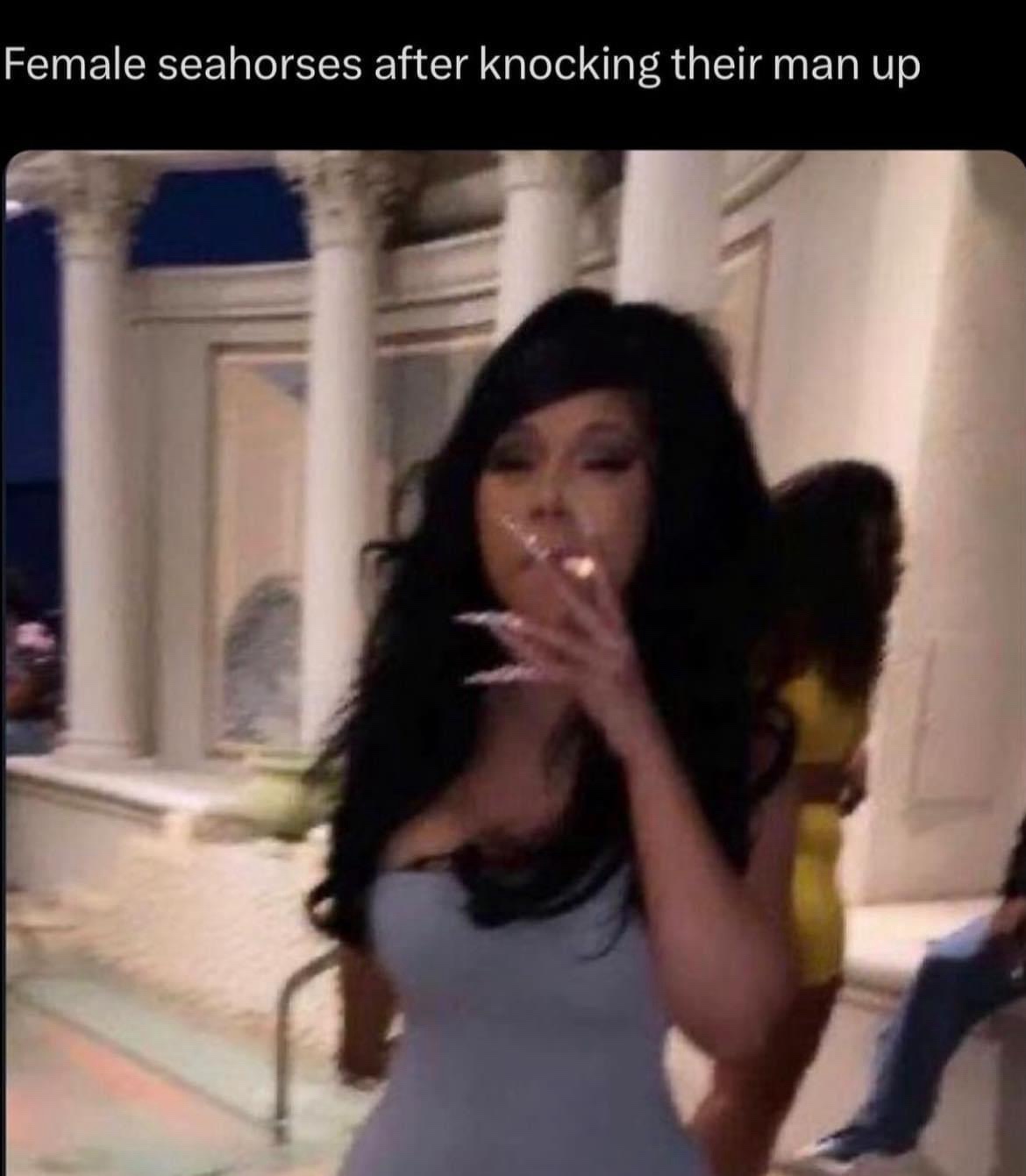 24 Memes with No Theme and Even Less Context 7 Female seahorses