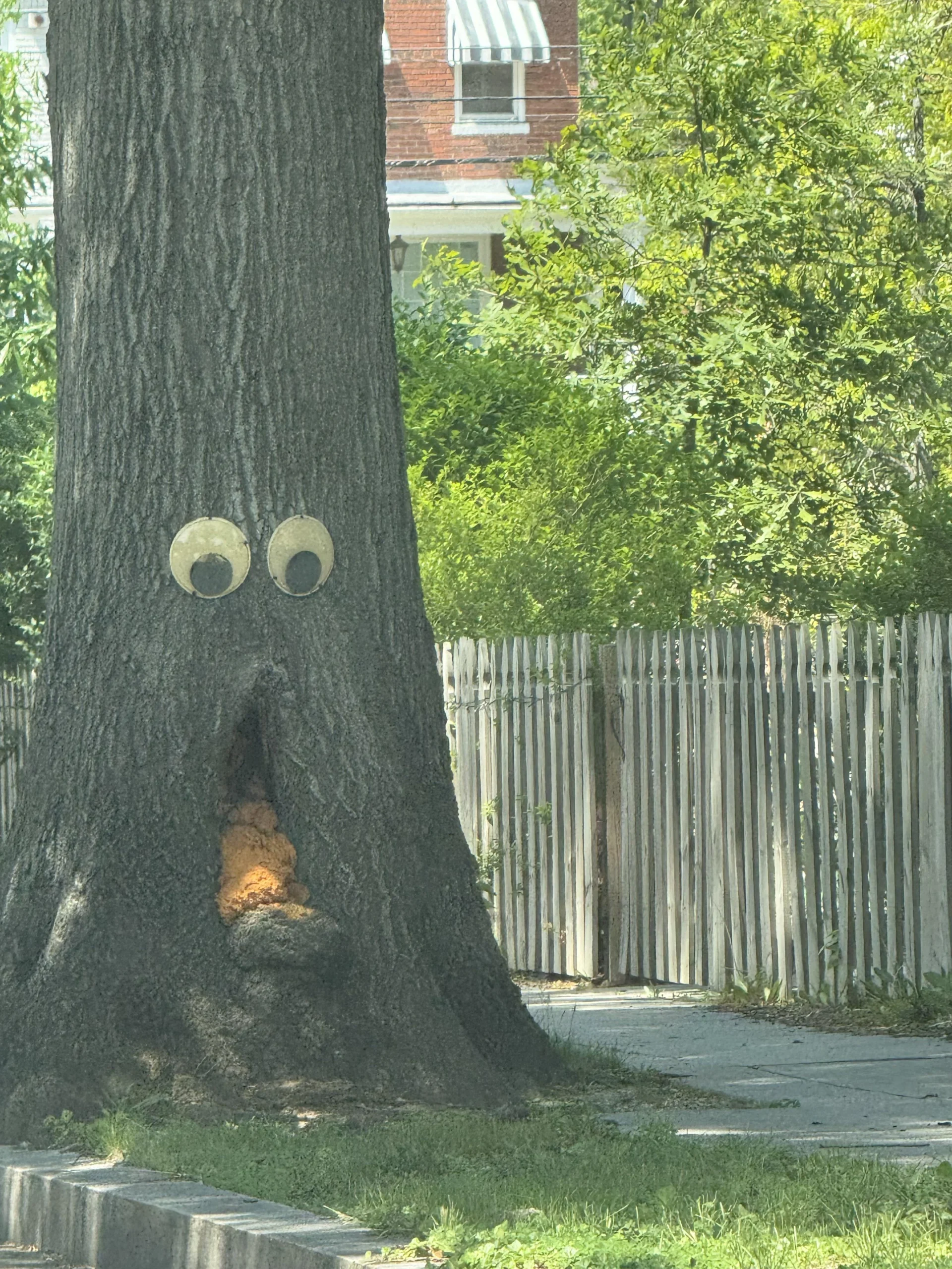 20 Times Mild Vandalism Made the World a Funnier Place 3 Found in NE