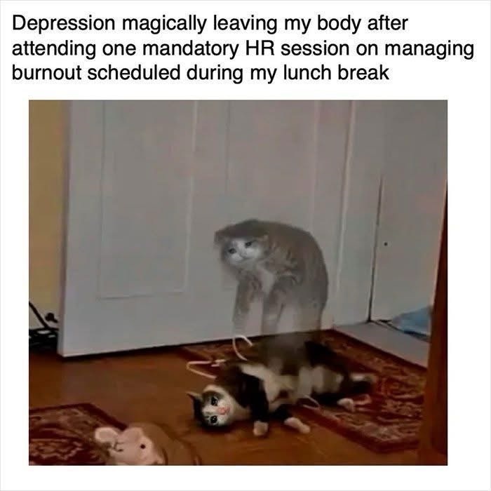 20 Memes That Are Funny, Filthy, and Fully Unapologetic 9 HR Session
