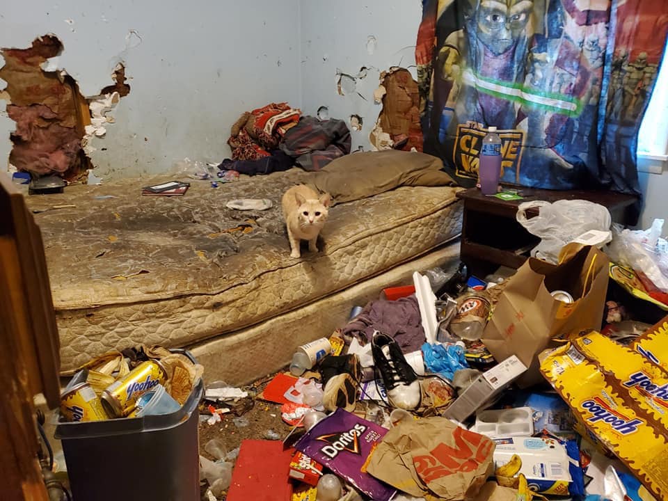 25 Real Estate Photos That Deserve Their Own Horror Movie 11 Have you come to rescu me