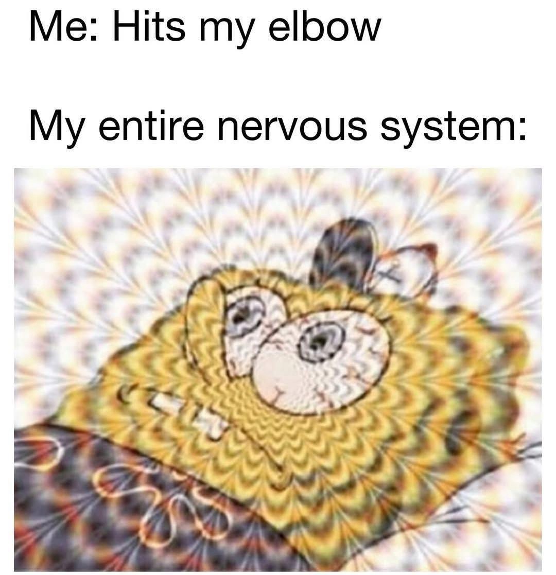 20 Random Memes That Make as Much Sense as Pineapple on Pizza 6 Hits my elbow