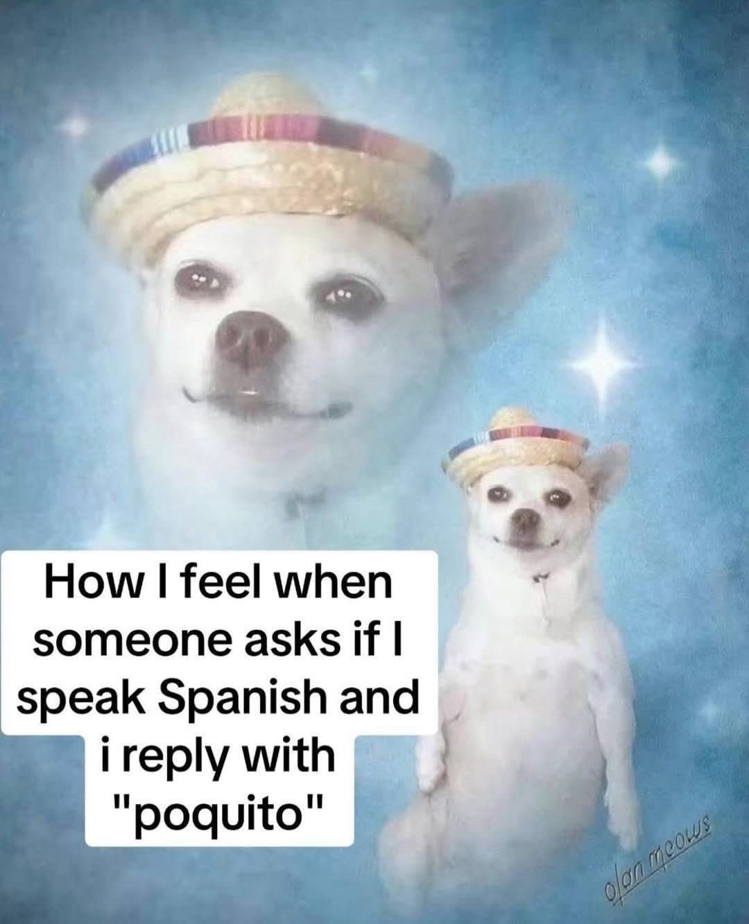 20 Memes That Walked in Wearing Nothing but Punchlines 8 How I feel