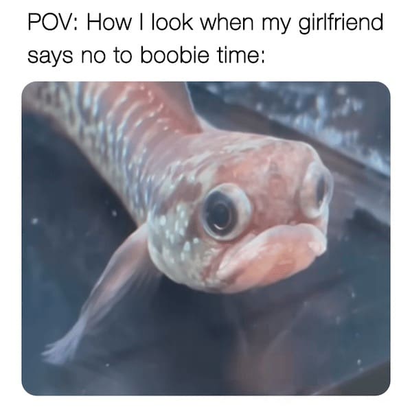 20 Memes for When You’re Trying Your Best but the Universe Says No 6 How I look