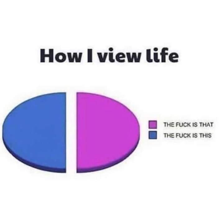 20 Random Memes That Passed the Vibe Check 7 How I view life