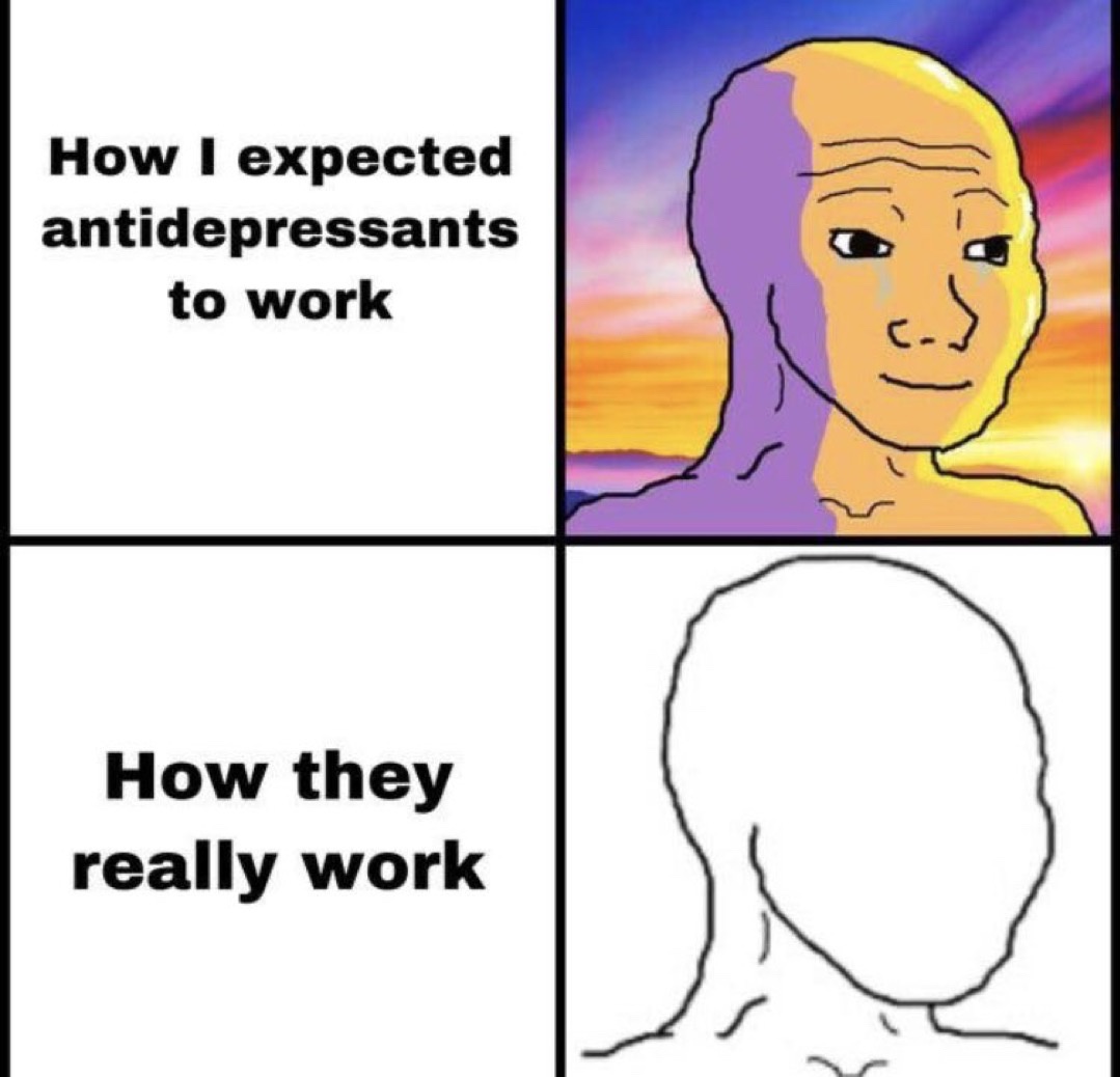 24 Memes with No Theme and Even Less Context 10 How i expected