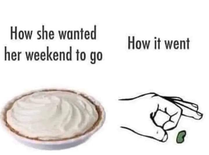 23 Random Memes That’ll Have You Laughing, Then Staring Into the Void 7 How she wanted her weekend to go