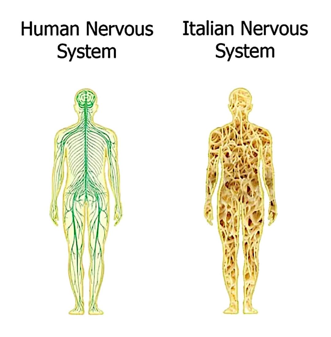 20 Funny Memes You Weren’t Emotionally Prepared to See 8 Human nervous system