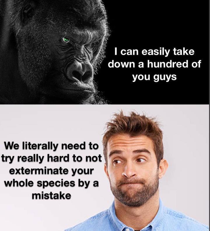 20 Dank Funny Memes You Shouldn’t Click On… But You’re Going To Anyway 11 I can easily take down - Dank Funny Memes