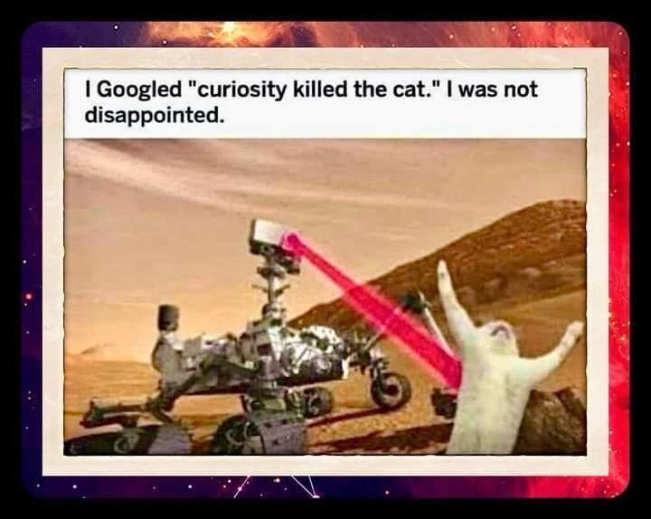 20 Memes Thrown Together Like a Last-Minute School Project 7 I googled