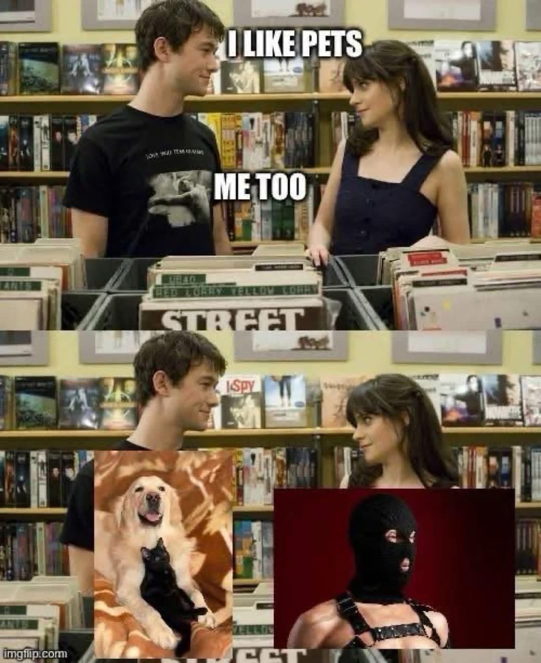 20 Memes That Are Funny, Filthy, and Fully Unapologetic 10 I like pets