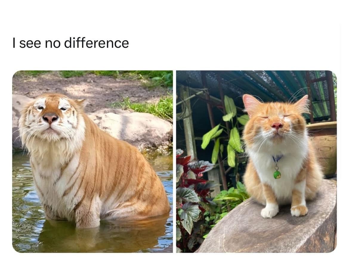 I see no difference