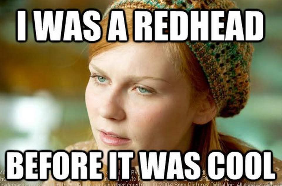 30 Redhead Memes to Celebrate World Redhead Day with Laughter 29 I was a red head