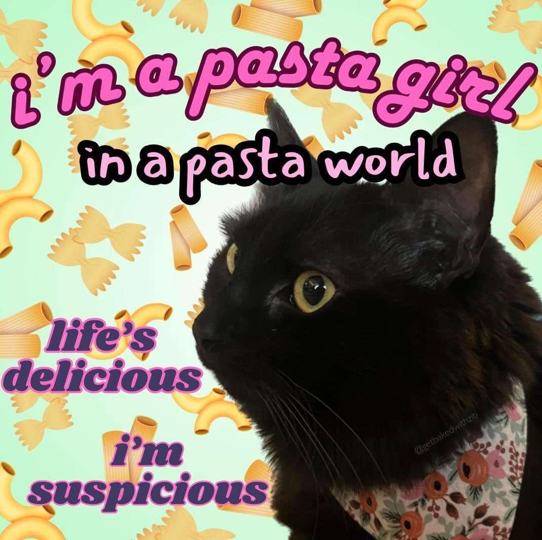 27 Random Cat Memes That Will Be the Highlight of Your Day (Trust Us) 17 Im a pasta girl - Random Cat Memes