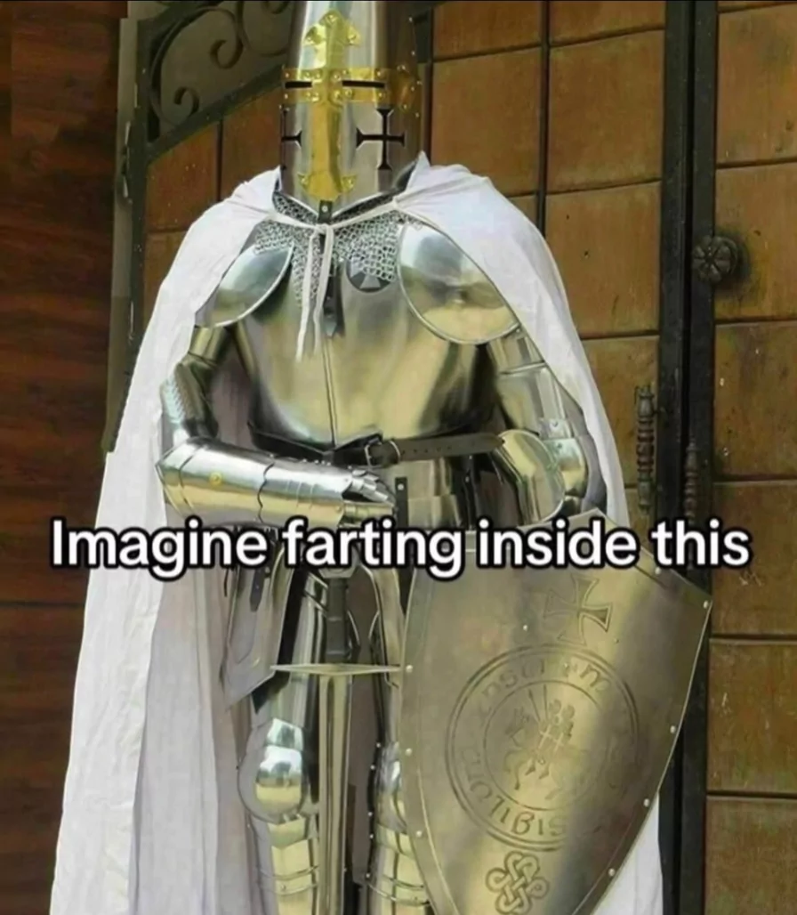 30 Knight Memes to Make You Gallop into a Fit of Laughter 31 Imagine farting inside this