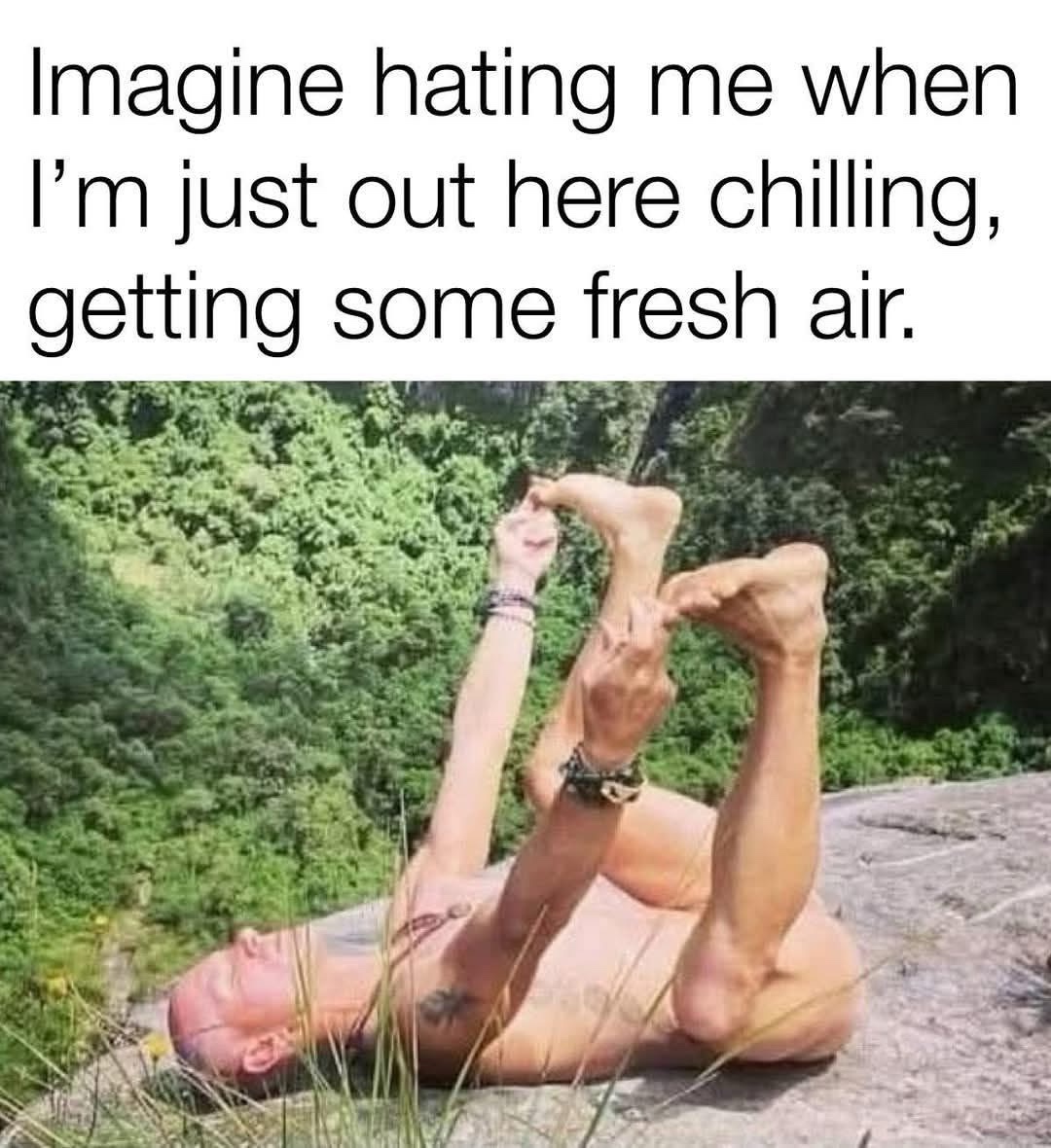 20 Memes That Walked in Wearing Nothing but Punchlines 9 Imagine hating em