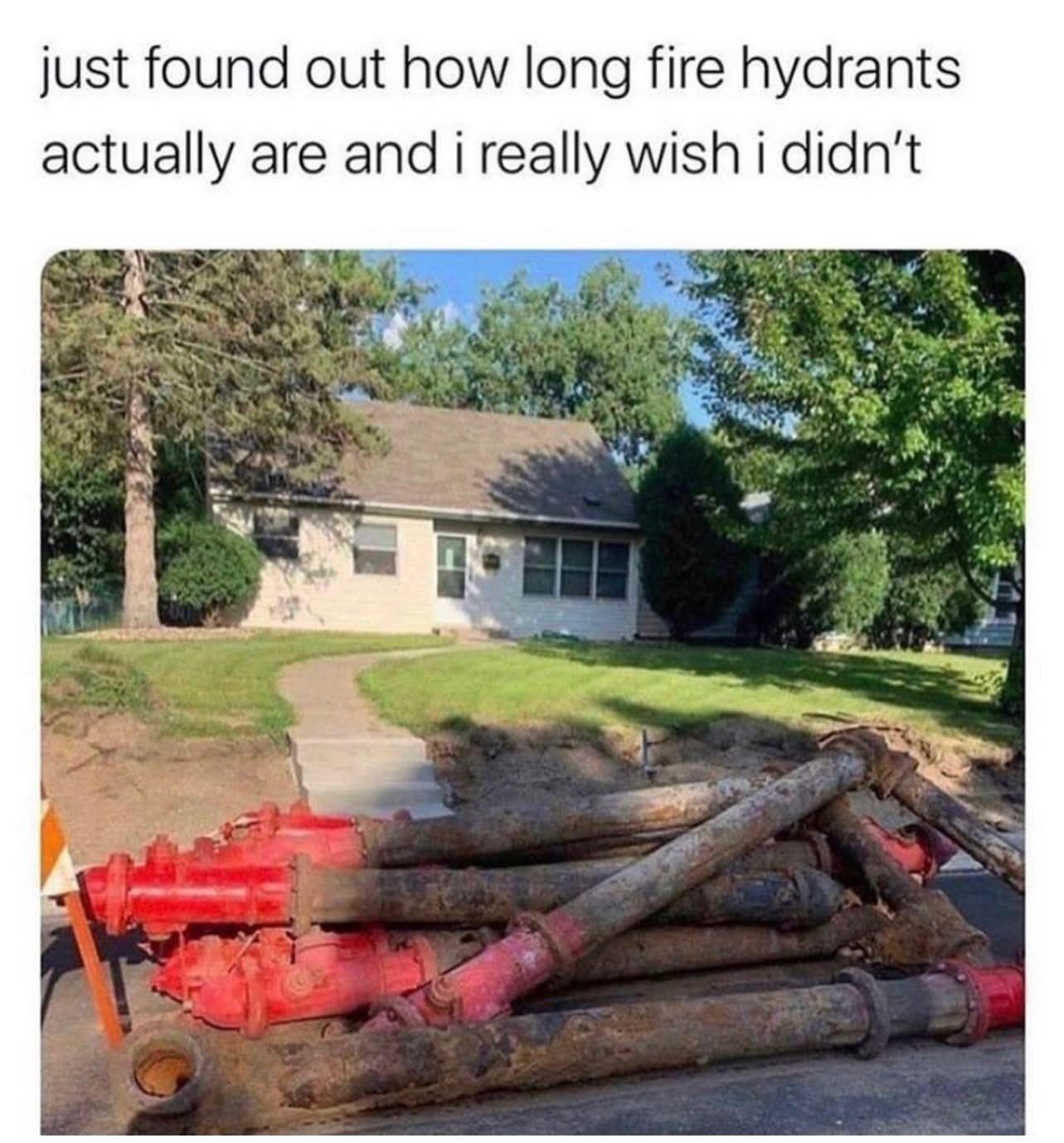 20 Memes That Are 90% Funny, 10% Naughty 10 Just found out
