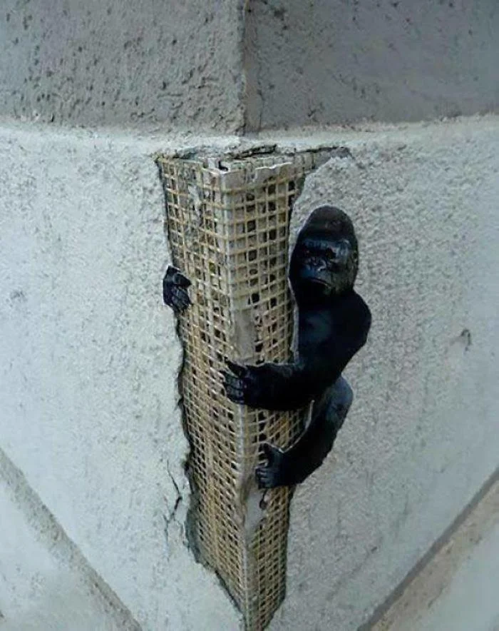 20 Times Mild Vandalism Made the World a Funnier Place 7 King Kong