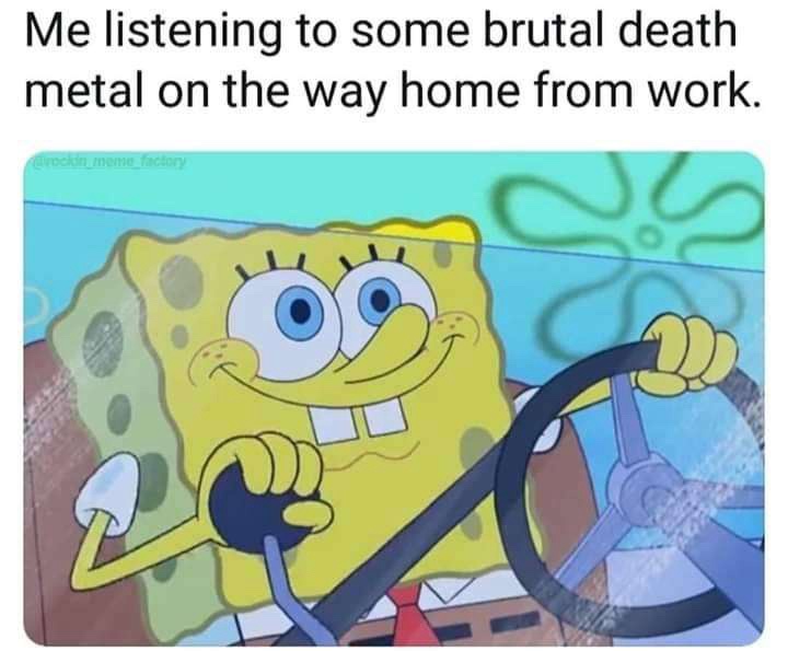 20 Random Memes That Passed the Vibe Check 10 Listening brutal music