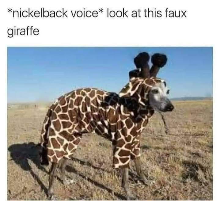 20 Memes So Ridiculous They Might Unlock a New Emotion 6 Look at this faux giraffe