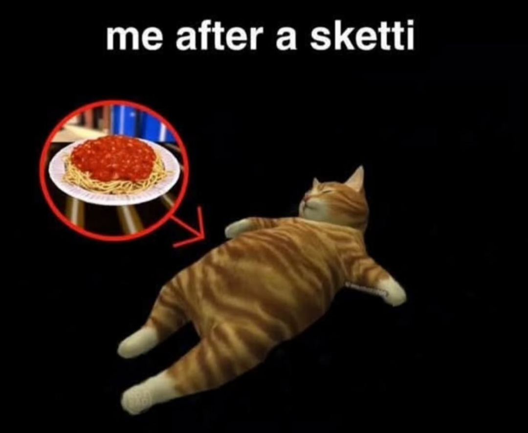 27 Random Cat Memes That Will Be the Highlight of Your Day (Trust Us) 20 Me after sketti - Random Cat Memes