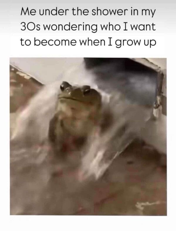20 Memes for When You’re Trying Your Best but the Universe Says No 9 Me under the shower