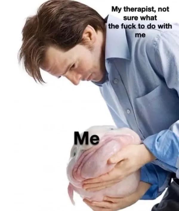 20 Memes for When You’re Trying Your Best but the Universe Says No 14 My therapist not sure