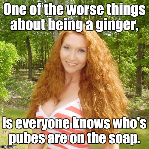 30 Redhead Memes to Celebrate World Redhead Day with Laughter 32 One of the worst things