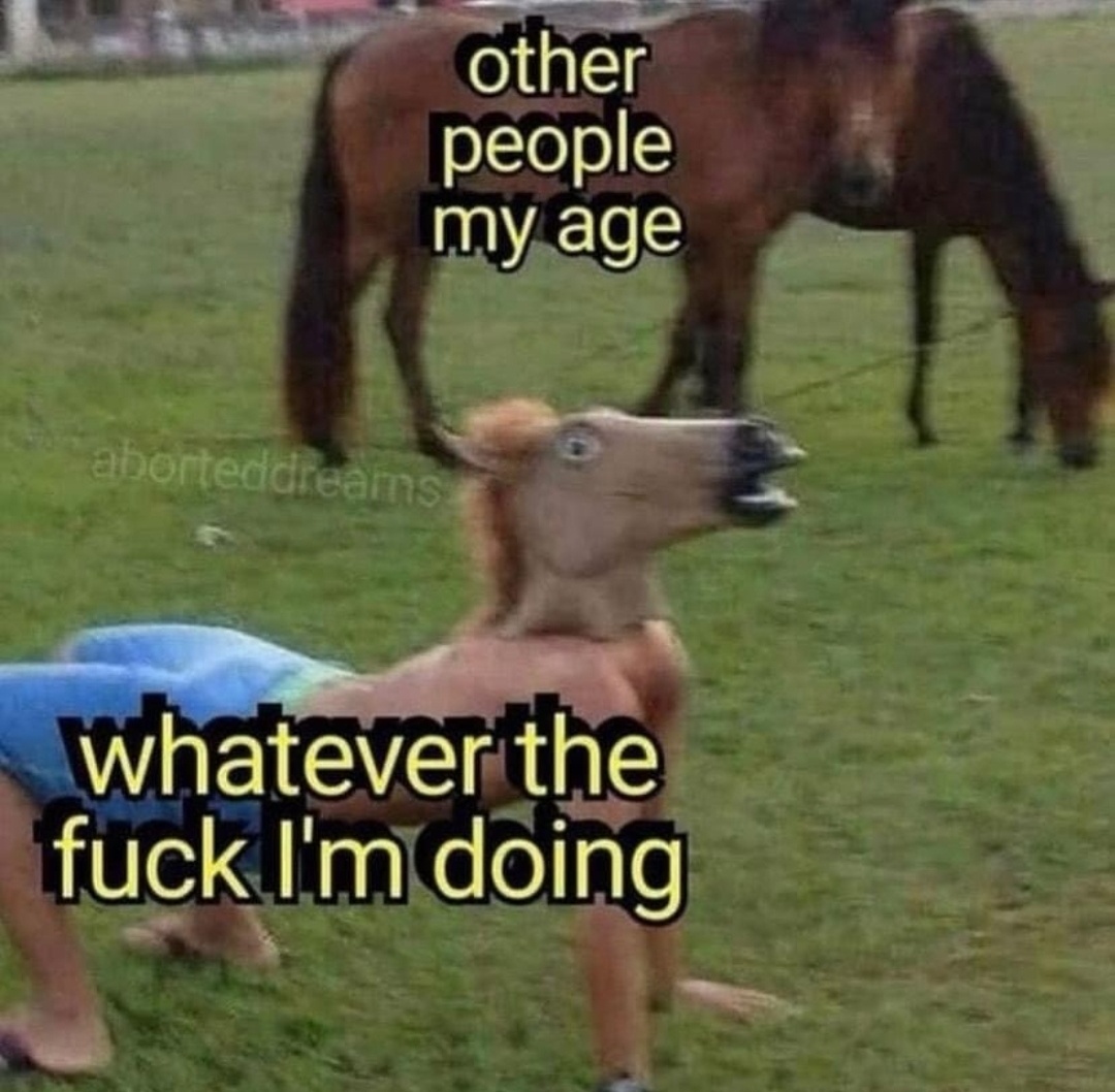 23 Memes That Asked Not to Be Understood 13 Other people my age