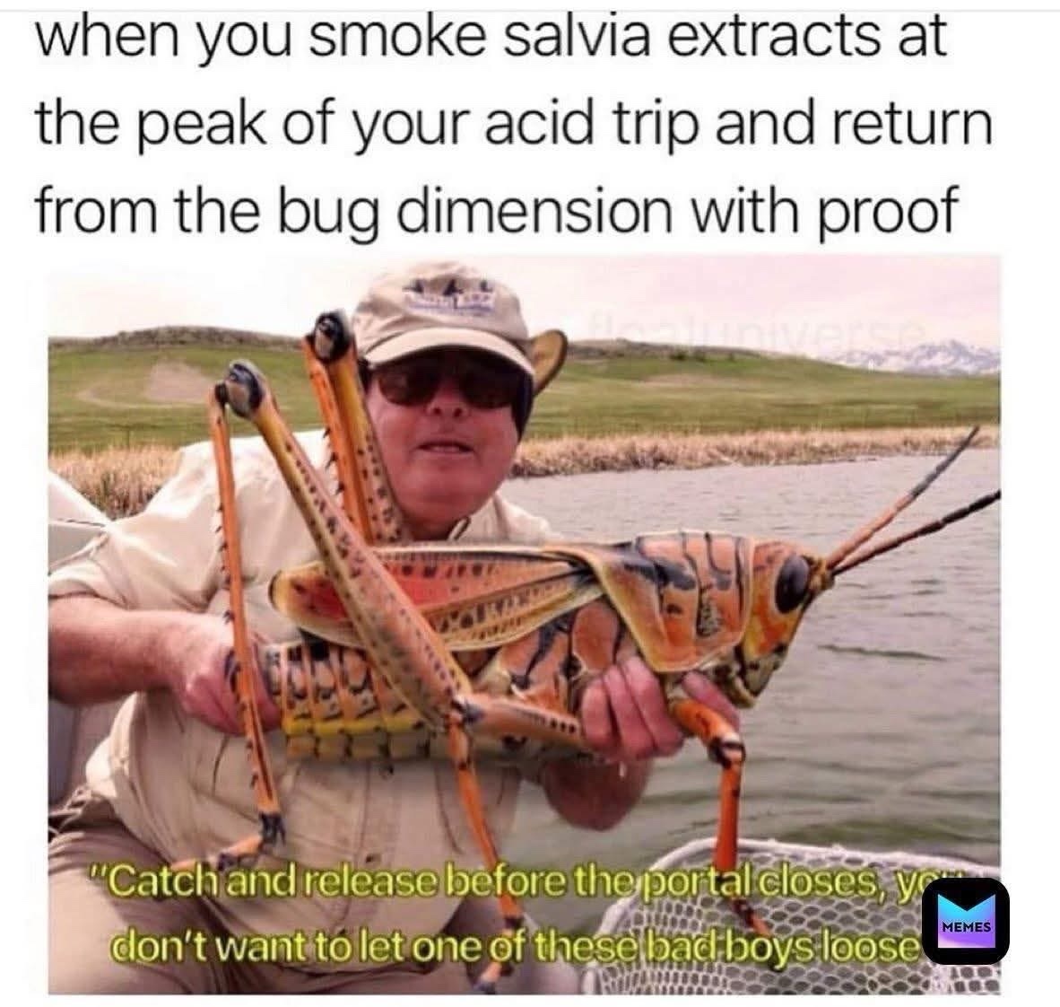 21 Memes from Nowhere About Nothing at All 11 Peak of trip