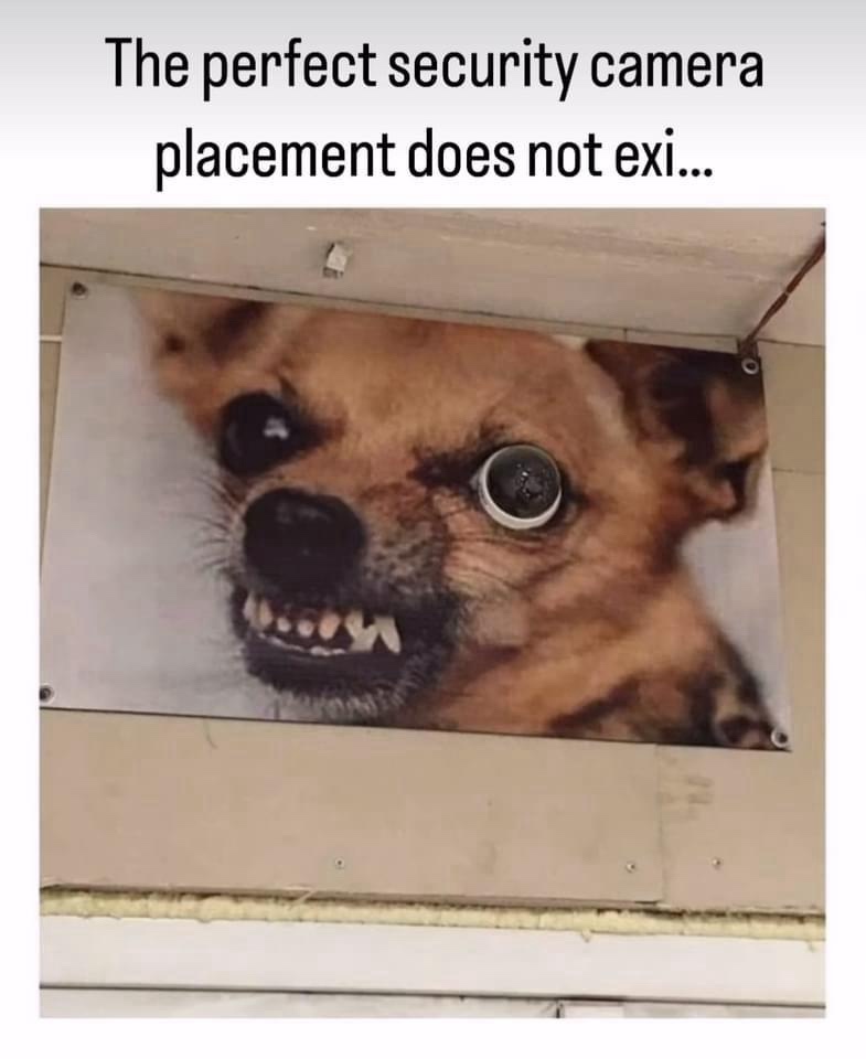 20 Random Memes That’ll Slap You with Surprise Laughter 15 Perfect security camera