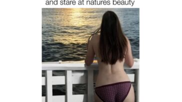 Slightly Inappropriate Memes That Still Passed the Vibe Check - FG.jpeg