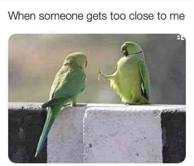 23 Random Memes That’ll Have You Laughing, Then Staring Into the Void 14 Some one gets too close