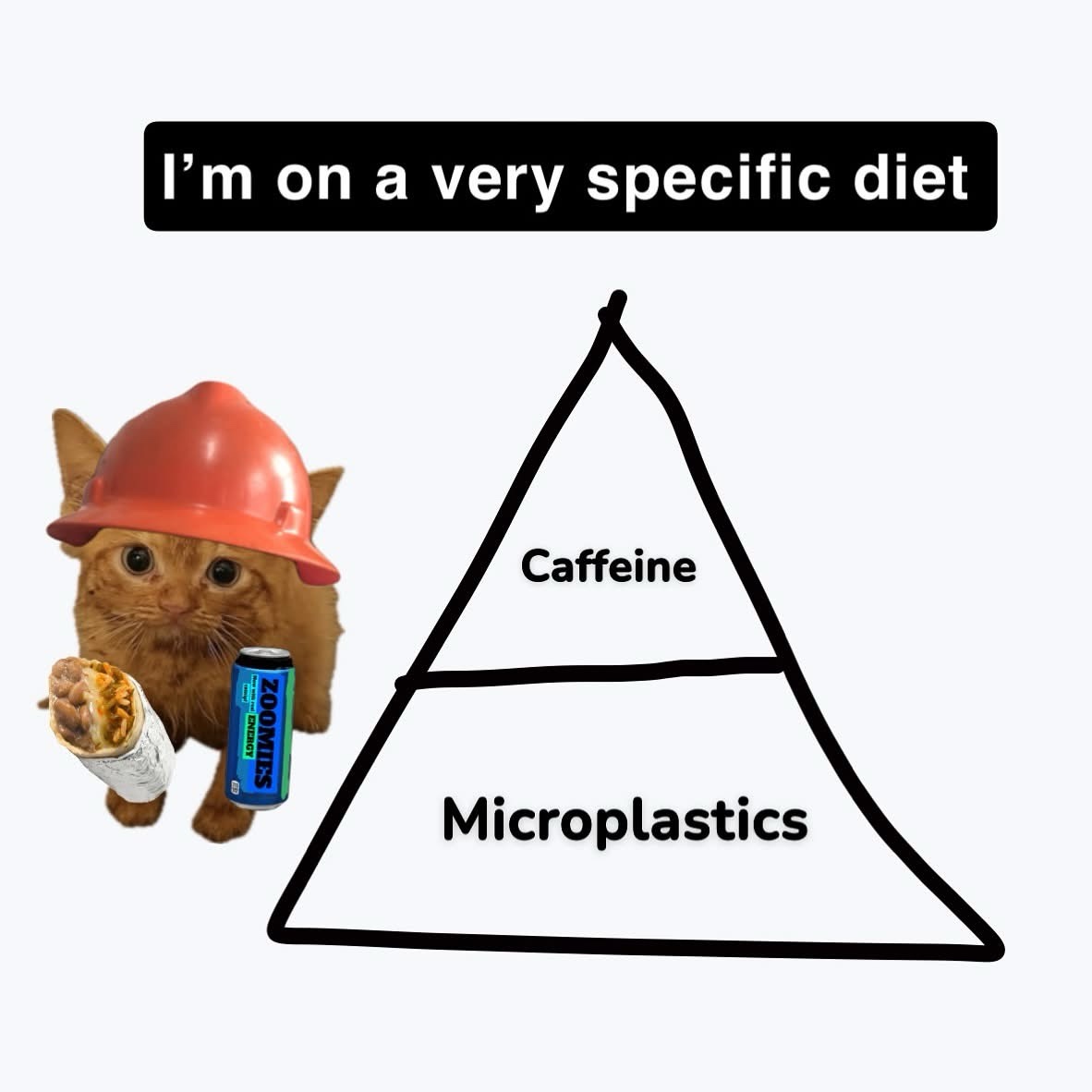 20 Random Memes That Make as Much Sense as Pineapple on Pizza 11 Specific diet