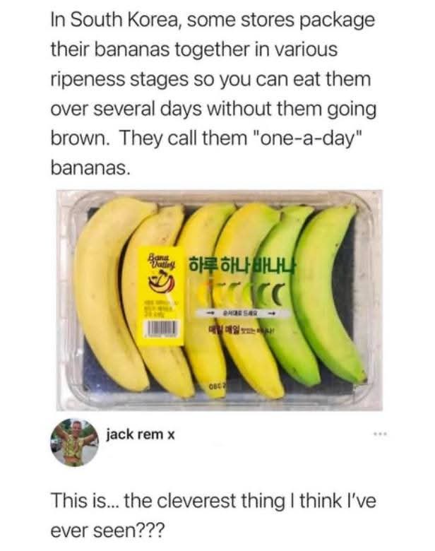 22 Random Memes That Go Absolutely Nowhere… And That’s the Point 17 Stores package their bananas