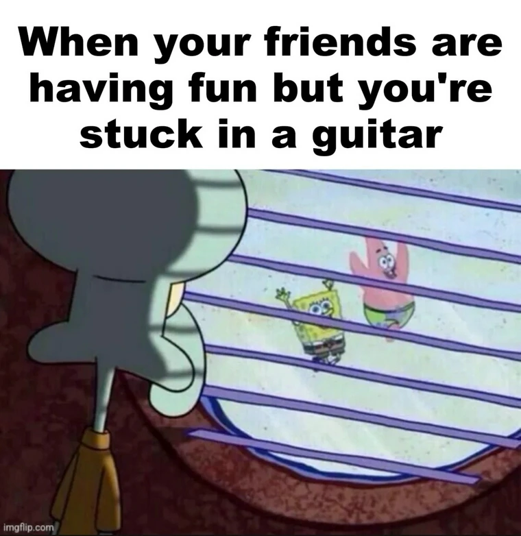 20 Memes So Ridiculous They Might Unlock a New Emotion 14 Stuck in guitar