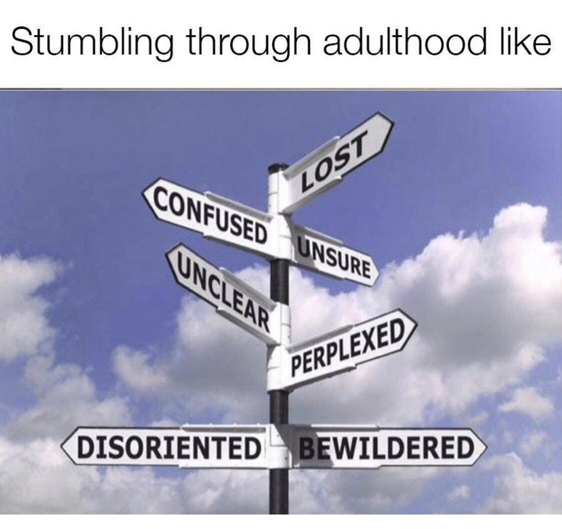 45 Hilarious Memes for These Trying Times 42 Stumbling thru adulthood