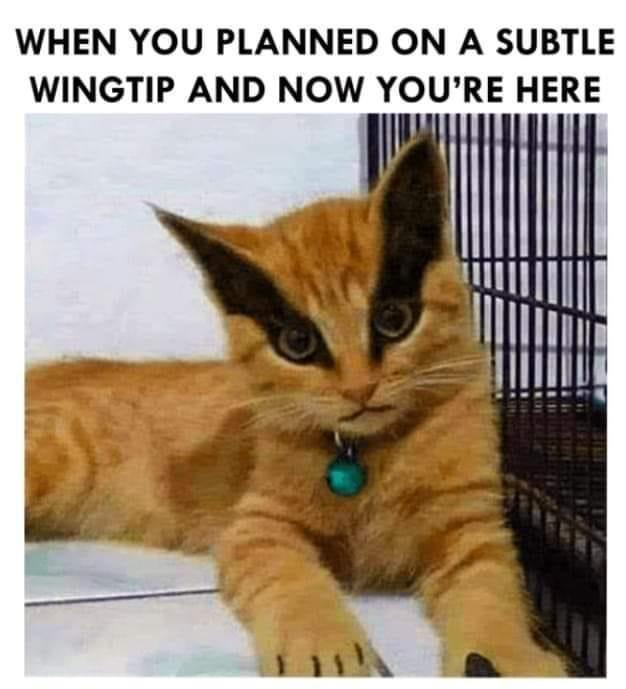 20 Gloriously Pointless Memes That’ll Still Make Your Day 16 Subtle wing tip