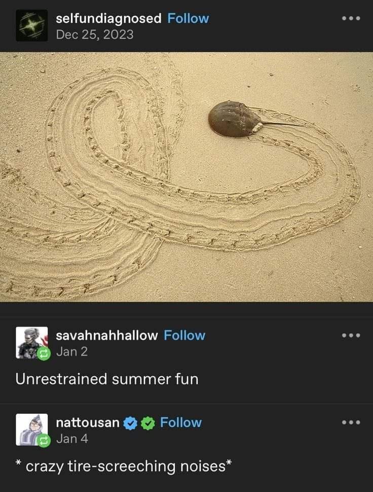 23 Memes That Asked Not to Be Understood 15 Summer fun