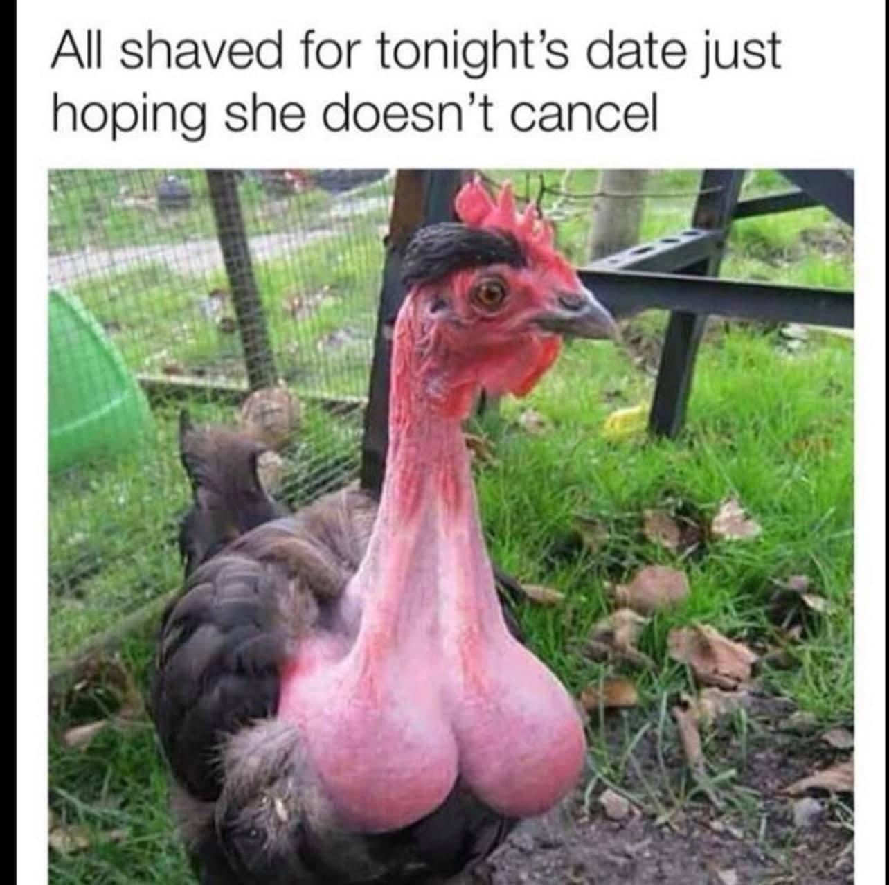 20 Naughty Memes That Make You Scroll Faster When Someone Walks In 18 TOnights date - Naughty Memes