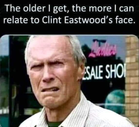 23 Memes That Asked Not to Be Understood 16 The older i get