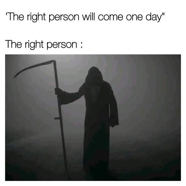 23 Memes That Asked Not to Be Understood 17 The right person