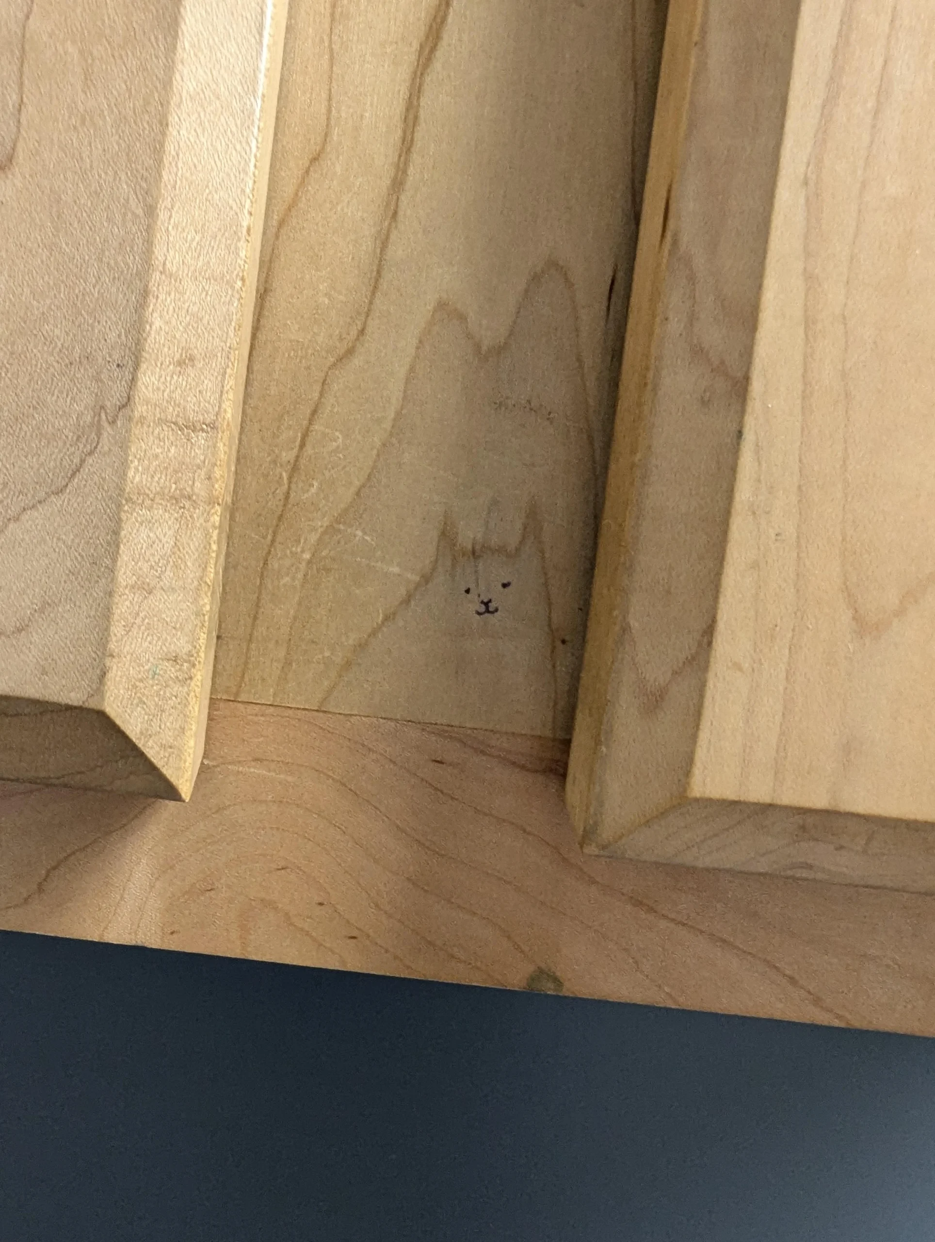20 Times Mild Vandalism Made the World a Funnier Place 18 This cat in the bathroom of a vet clinic