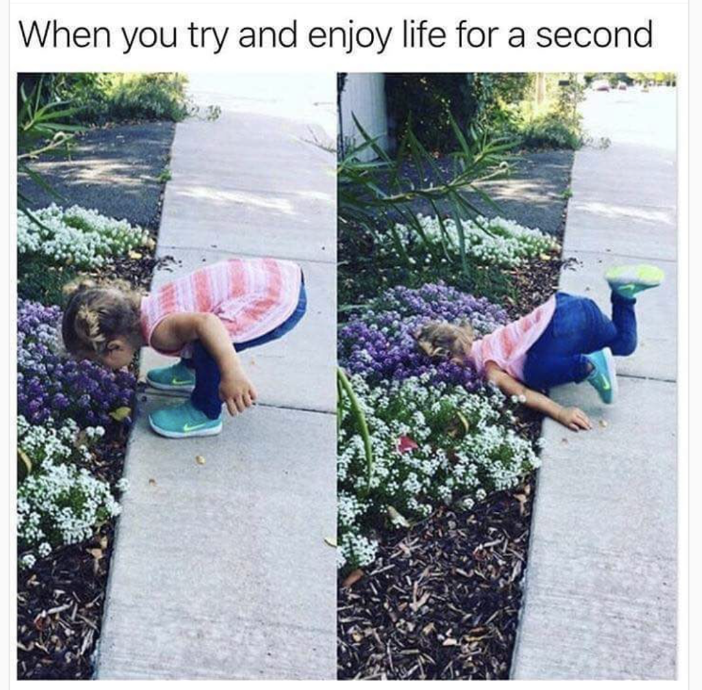 35 Self-Deprecating Memes: Laughing at Ourselves Before Others Can 37 Try to enjoy life