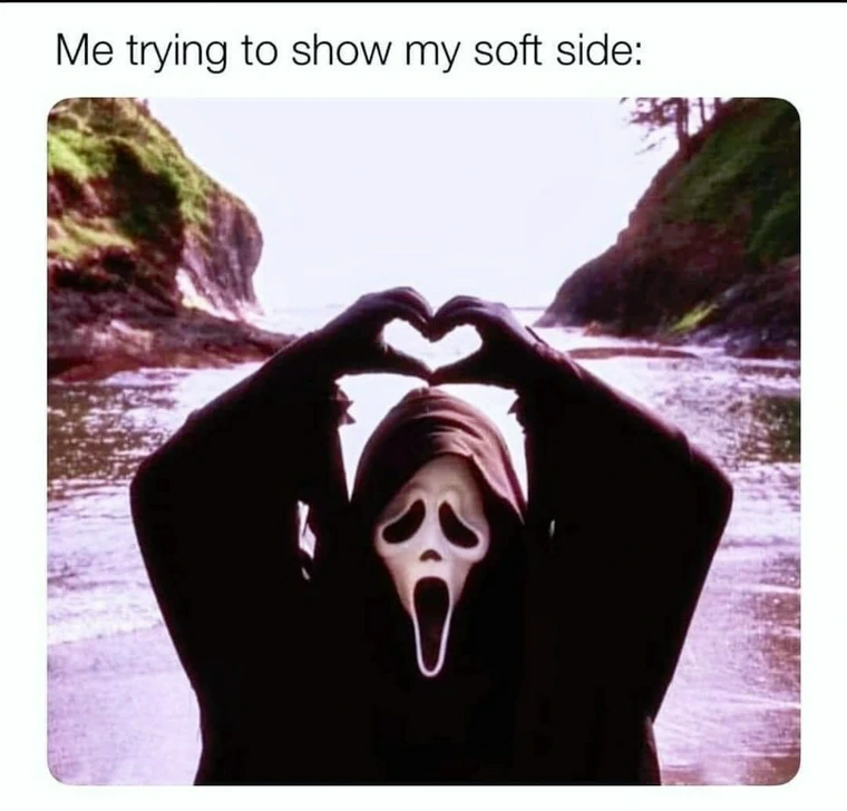 20 Random Memes That Passed the Vibe Check 18 Trying to to show soft side