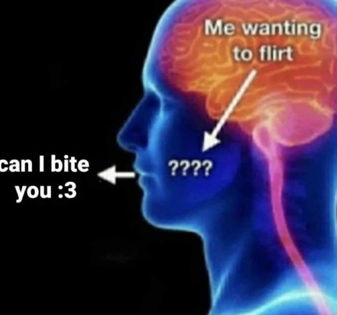 20 Extremely Random Memes You’ll Regret Not Clicking On 18 Wanting to flirt