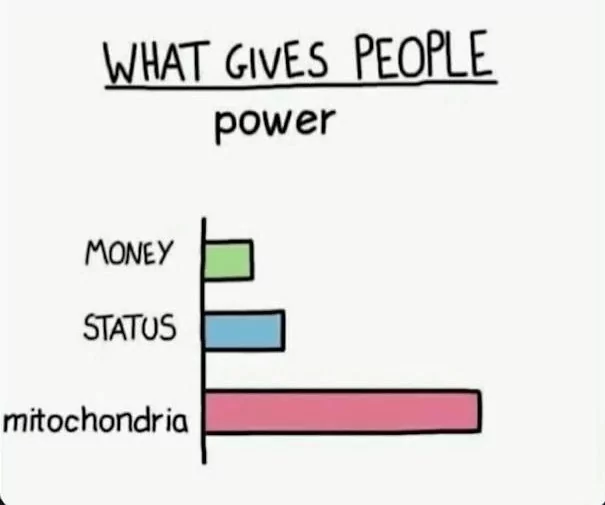 What gives people power
