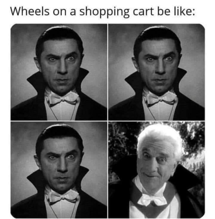 23 Random Memes That’ll Have You Laughing, Then Staring Into the Void 19 Wheels on shopping cart