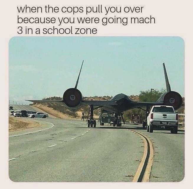 20 Memes So Random You’ll Forget What You Were Doing Before This 18 When cops pull you over