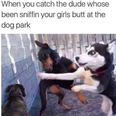 20 Memes That Are Funny for No Reason and Every Reason 25 When you catch the dude