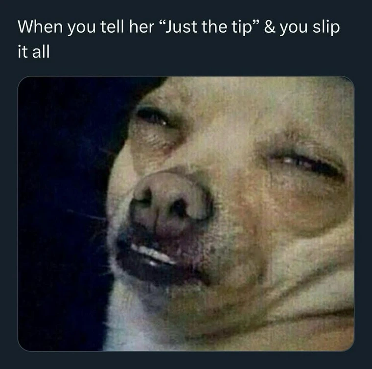 20 Memes That Take a Left Turn into Absurdity Without Warning 20 When you tell her